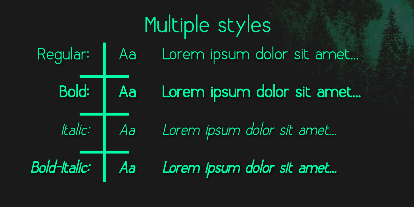 Пример шрифта Borka Bold Italic